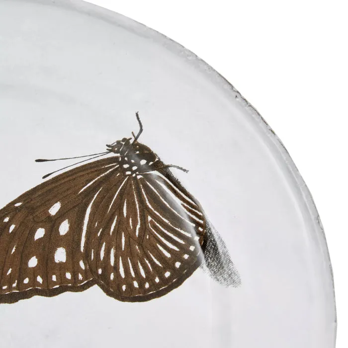 Astier De Villatte Flying-Landed Butterfly Medium Plate