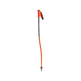 Fischer Juniors' RD GS Ski Pole