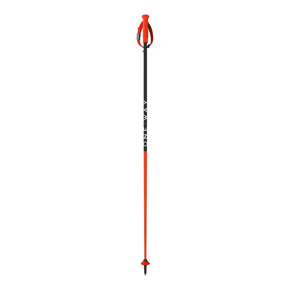 Fischer RD 16 SL Ski Pole