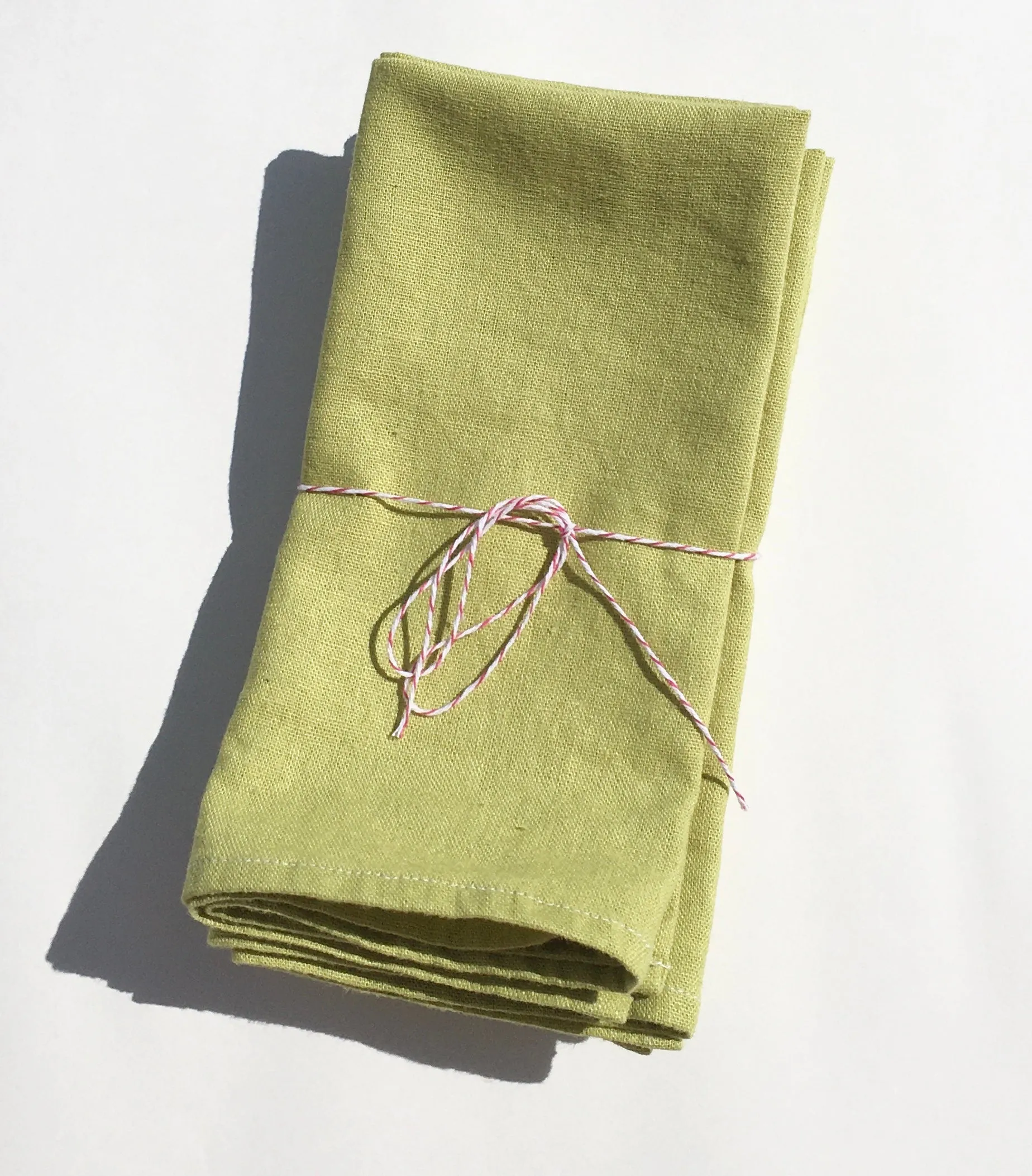 Kiwi Napkins (Set of 4)